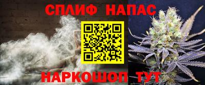 молекула духа Ефремов