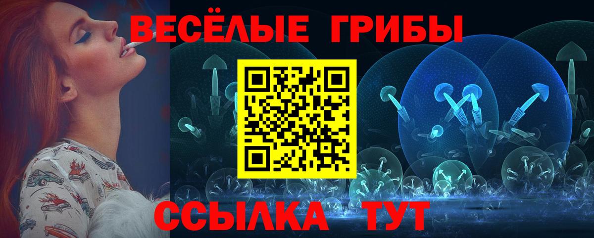 Галлюциногенные грибы Psilocybine cubensis  Вход с VPN  Псилоцибиновые грибы мицелий  где можно купить   Саратов 